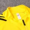 Sudadera Borussia Dortmund 2020/21 diseño de cuello
