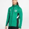 Sudadera con capucha Celtics