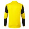 Alternative view of Chaqueta Borussia Dortmund 2020/21