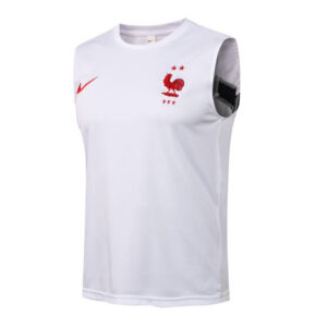 Camiseta sin mangas Francia 2020/21