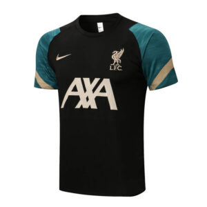 Camiseta entrenamiento Nike Liverpool 2021/22