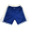 Alternative view of Pantalón corto Retro Los Angeles Lakers Blue 1996/97
