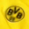 Camiseta Borussia Dortmund 2021/22