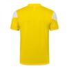 Camiseta entrenamiento Borussia Dortmund 2021/22 diseño dorsal