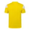 Camiseta entrenamiento Borussia Dortmund 2021/22 diseño dorsal