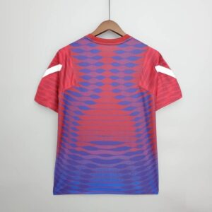 Camiseta entrenamiento FC Barcelona 2021/22