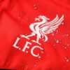 Chandal con Capucha Liverpool 2021/22
