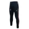 Pantalón de Chándal Jordan París Saint-Germain 2122