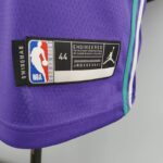 Camiseta Charlotte Hornets Purple Edition