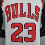 Camiseta Chicago Bulls “75th Anniversary” White edition