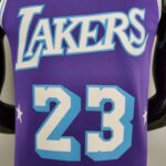 Camiseta Los Ángeles Lakers “75th Anniversary” City Edition Purple