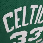 Camiseta Mitchellness Celtics Green N°. 33 Bird Retro Mesh