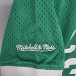 Camiseta Mitchellness Celtics Green N°. 33 Bird Retro Mesh