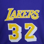 Camiseta Mitchellness Lakers Purple N°. 32 Johnson Retro