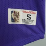 Camiseta Mitchellness Lakers Purple N°. 32 Johnson Retro