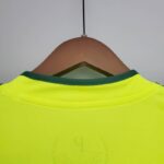 Camiseta alternativa Retro Palmeiras 2010/11