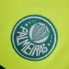 Camiseta alternativa Retro Palmeiras 2010/11