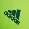 Camiseta alternativa Retro Palmeiras 2010/11