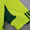 Camiseta alternativa Retro Palmeiras 2010/11