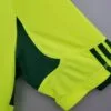 Camiseta alternativa Retro Palmeiras 2010/11