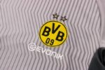 Camiseta calentamiento Borussia Dortmund 202122