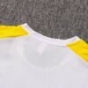 Camiseta calentamiento Borussia Dortmund 202122