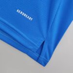 Camiseta calentamiento Manchester United 2021/22