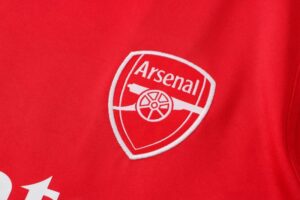 Conjunto entrenamiento sin mangas Arsenal 2021/22