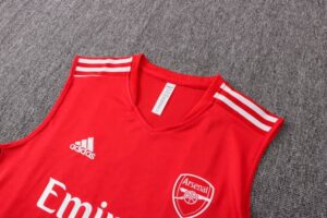 Conjunto entrenamiento sin mangas Arsenal 2021/22