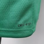 Camiseta Boston Celtics Teltes City Edition Green dri-fit