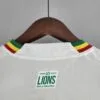 CUELLO TRASERO Camiseta de la Selección de Senegal Primera Equipación 2022 Versión Aficionado
