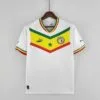 Camiseta de la Selección de Senegal Primera Equipación 2022 Versión Aficionado