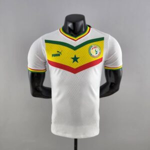 Camiseta de la Selección de Senegal Primera Equipación 2022 Versión Jugador