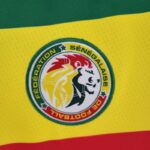 ESCUDO Camiseta de la Selección de Senegal Primera Equipación 2022 Versión Aficionado