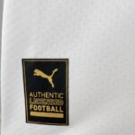 LICENCIA MARCA Camiseta de la Selección de Senegal Primera Equipación 2022 Versión Aficionado