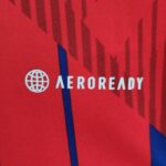 MATERIAL Camiseta Bayern Munich 2223 Conmemorativa 10° campeonato consecutivo Bundesliga