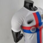 PECHO LATERAL Camiseta Barcelona Tercera Equipación 2022-2023 Versión Jugador
