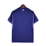 Camiseta alternativa de Argentina color violeta dorsal