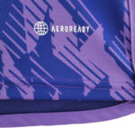 Camiseta alternativa de Argentina color violeta etiqueta