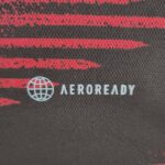 Camiseta Alemania Qatar 2022 segunda equipación - versión fan - tecnología