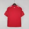 Camiseta Nottingham Forest primera equipación 22-23 - versión fan - dorsal