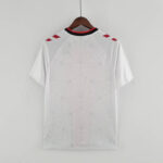 Camiseta Southampton primera equipación 22-23 - versión fan - dorsal