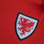 Body de Gales primera equipación 2022-2023 escudo