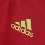 Body de Gales primera equipación 2022-2023 logo