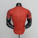 Camiseta Bayern Munich edición especial 2022-2023 dorso