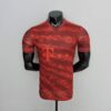 Camiseta Bayern Munich edición especial 2022-2023 frontal