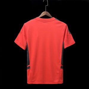 Camiseta Internacional Brasil 2022-2023 dorso