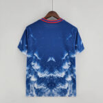 Camiseta PSG edición especial azul y blanco dorso