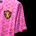 Camiseta Sport Recife edición especial 2022-2023 manga 1