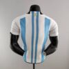 camiseta de argentina con 3 estrellas dorsal